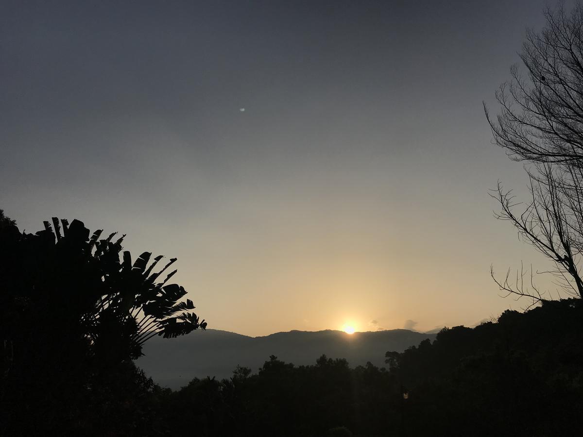 וולי Wisdom Garden Home Stay מראה חיצוני תמונה